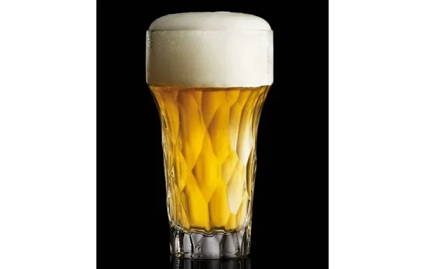 LA ROCHERE SILEX VER 644701P4